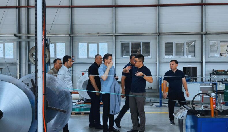 Visit of Ambassadors to GOC-UZ